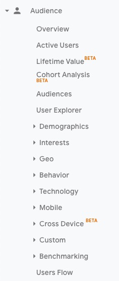 information you can see about your audiences inside of google analytics