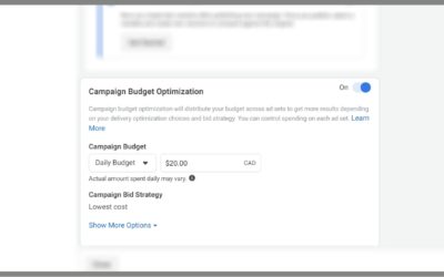 How Your Budget Affects Your Facebook Ad Campaign Structure