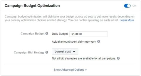 CBO vs ABO (which to use) Facebook Ads 2021