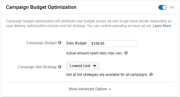 When using either CBO or ABO, we suggest selecting the low cost setting using a daily budget